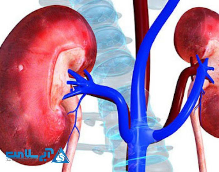 بیماری های کلیه را نام ببرید