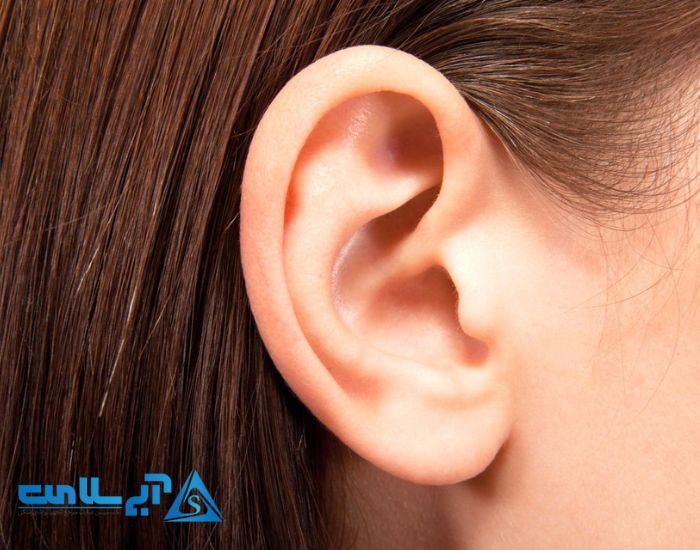 ما چطور میشنویم